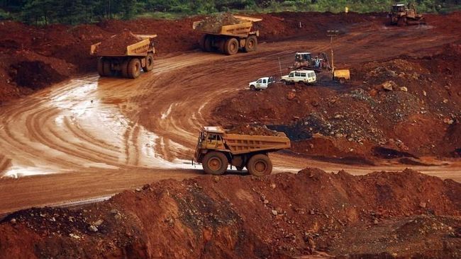 Jadi Primadona RI, Eksplorasi Komoditas Ini Harus Digencarkan