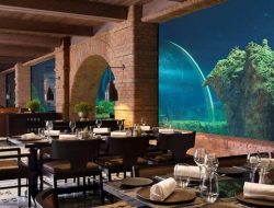 Koral di Bali Jadi Restoran ‘Tercantik’ di Dunia