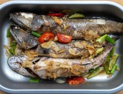 5 Ide Aneka Masakan Ikan Gabus untuk Akhir Pekan