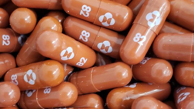 Berikut beberapa fakta soal obat covid-19 molnupiravir dari cara kerja, efek samping, sampai harga produksi.