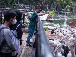 Taman Margasatwa Ragunan Buka Lagi, 4.901 Orang Berkunjung