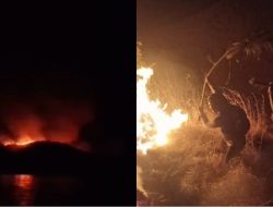 Komodo tidak terluka dalam kebakaran taman nasional