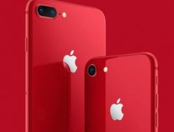 iPhone ‘Murah’ Terbaru Siap Meluncur Maret 2022?