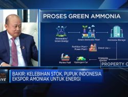 Jurus Pupuk Indonesia Jadi Produsen Blue dan Green Ammonia