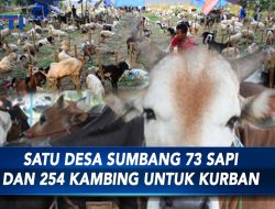 Dusun Krajan di Banjarnegara, Sumbang 73 sapi dan 254 Kambing untuk Kurban – SIS 29/06