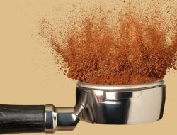Pertama di Dunia, Ini Wujud Kopi Tanpa Biji Buatan Startup AS