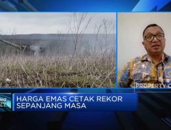 Video: Harga Emas Cetak Rekor, Ternyata Ini Penyebabnya